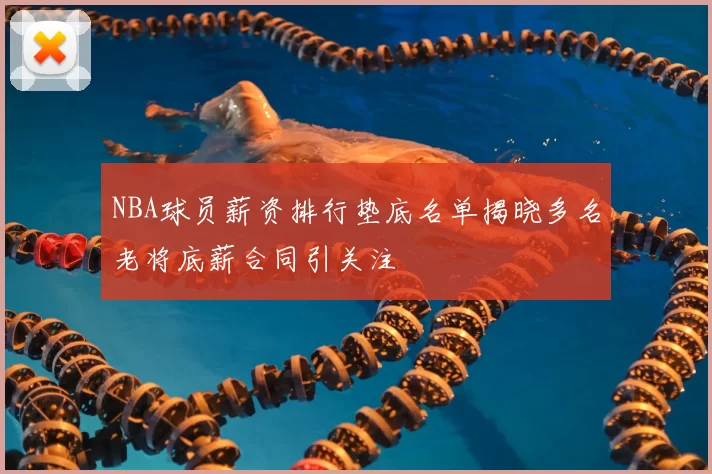 NBA球员薪资排行垫底名单揭晓多名老将底薪合同引关注