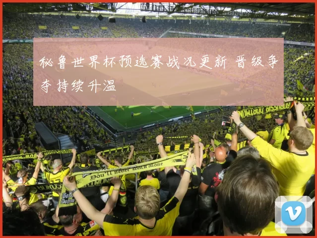 秘鲁世界杯预选赛战况更新 晋级争夺持续升温
