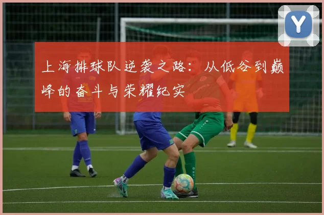上海排球队逆袭之路:从低谷到巅峰的奋斗与荣耀纪实