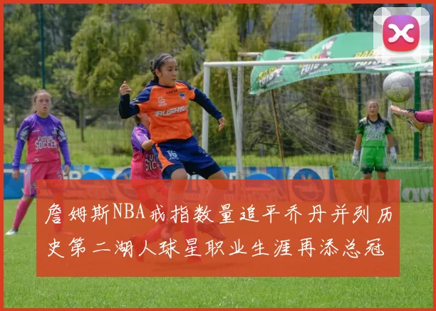 詹姆斯NBA戒指数量追平乔丹并列历史第二湖人球星职业生涯再添总冠军