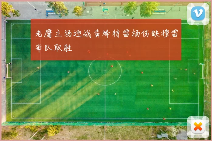 老鹰主场迎战黄蜂特雷杨伤缺穆雷率队取胜