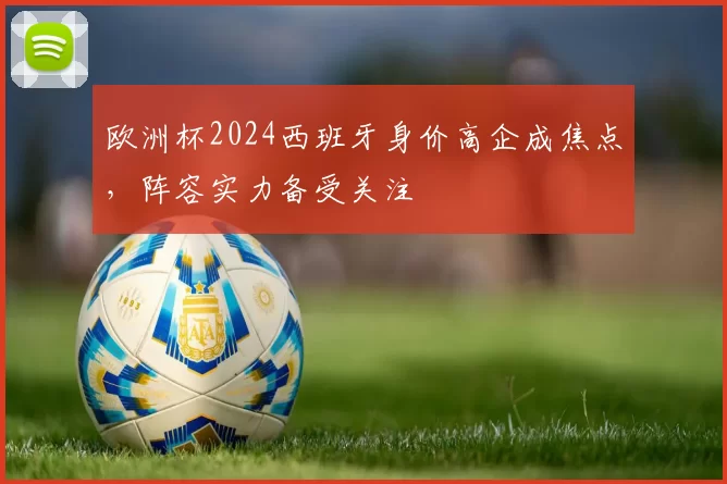 欧洲杯2024西班牙身价高企成焦点，阵容实力备受关注