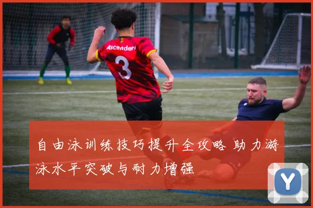 自由泳训练技巧提升全攻略 助力游泳水平突破与耐力增强
