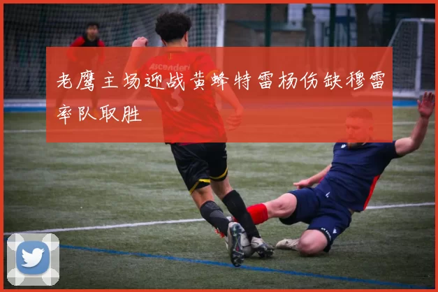 老鹰主场迎战黄蜂特雷杨伤缺穆雷率队取胜