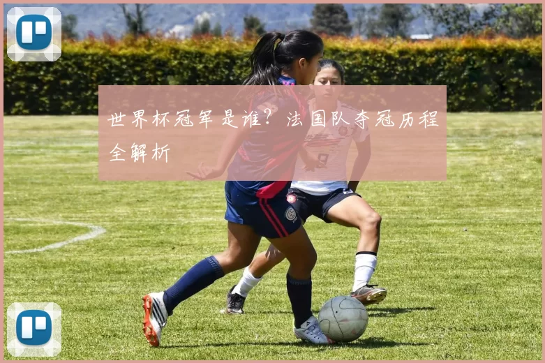 世界杯冠军是谁?法国队夺冠历程全解析