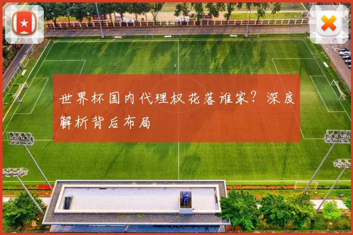 世界杯国内代理权花落谁家?深度解析背后布局