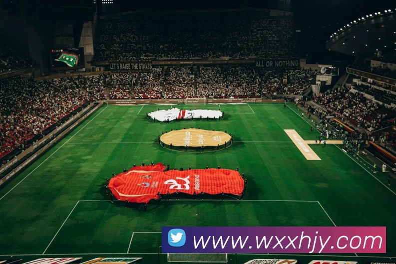 App Interface Preview